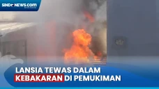 Seorang Lansia Tewas...