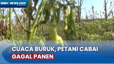 Cuaca Buruk, Petani...