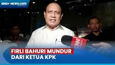 Firli Bahuri Mundur...