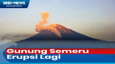 Gunung Semeru Erupsi...