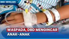 Waspadai Gejala Demam...