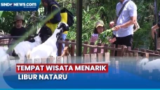 Isi Liburan Nataru 2023,...