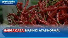 Laporan Harga Cabai...