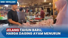 Harga Daging Ayam di...