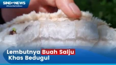 Mencicipi Sensasi Buah...