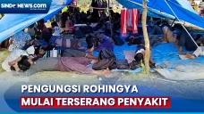 Mulai Terserang Penyakit,...