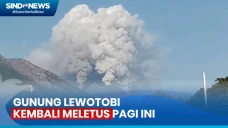 Gunung Lewotobi Kembali...