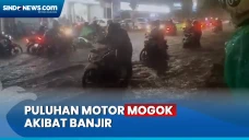 Puluhan Motor Mogok...