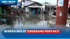 Terdampak Banjir Rob...
