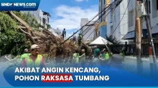 Diterpa Angin Kencang,...
