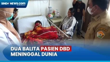 Dua Balita Pasien DBD...