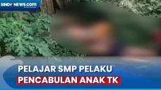 Video Pencabulan Anak...