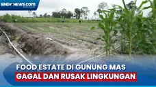 Walhi Kalteng Bantah...