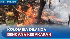 Kebakaran Hutan di Kolombia...