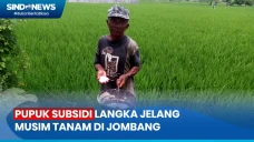 Petani Kesulitan Cari...