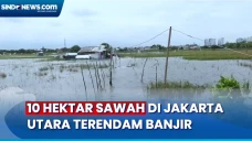 Akibat Hujan Deras,...