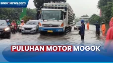 Nekat Lintasi Jalan...
