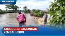 Puluhan Hektare Tambak...