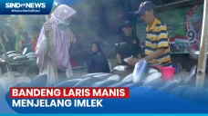 Pedagang Ikan Bandeng...