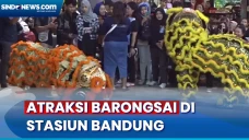 Hari Raya Imlek, Barongsai...