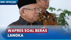 Wapres Maruf soal Heboh...