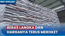 Beras Langka dan Harganya...