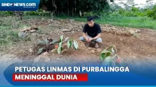 Diduga Kelelahan, Petugas...