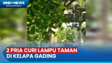 2 Pria Curi Lampu Taman...