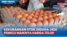 Harga Telur Ayam Makin...