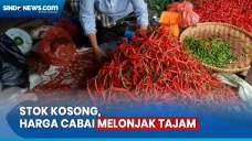 Stok Kosong, Harga Cabai...