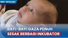 28 Bayi Prematur di...