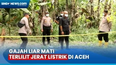 Polisi Olah TKP Usai...