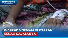 Waspada, 9 Orang Meninggal...