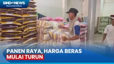 Masuki Masa Panen Raya,...