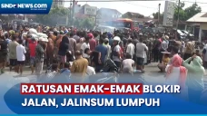 Lalu Lintas Jalinsum...