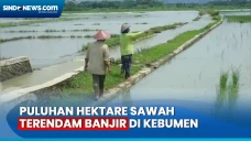 Petani Terancam Gagal...