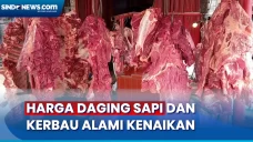 Harga Daging Sapi dan...
