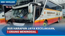 Bus Harapan Jaya Terlibat...