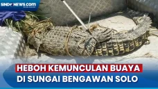 Sungai Bengawan Solo...