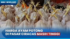 Awal Ramadhan, Harga...