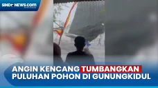 Angin Kencang Terbangkan...