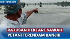 Petani Terancam Gagal...