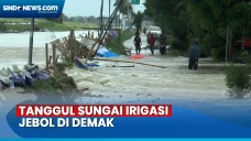 Usai Diperbaiki, Tanggul...