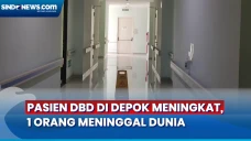 Jumlah Pasien DBD di...