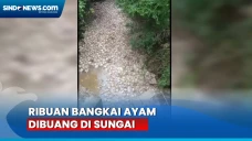 Blower Kandang Padam,...