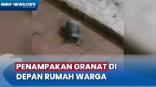 Penampakan Granat di...