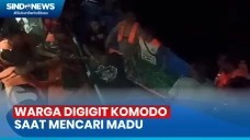 Hendak Mencari Madu,...
