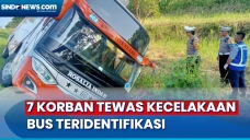 7 Korban Tewas Kecelakaan...