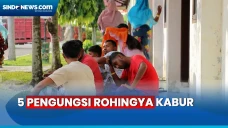 5 Pengungsi Rohingya...