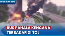 Terungkap Penyebab Bus...